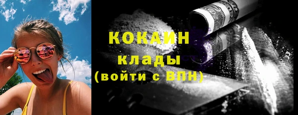 сатива Кострома