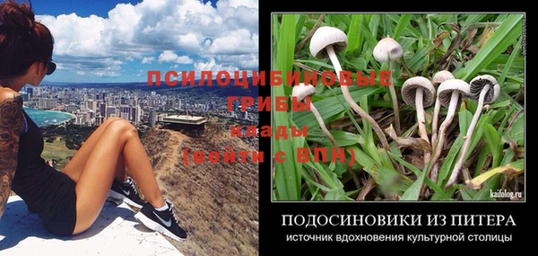 дурь Куйбышев