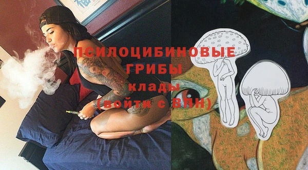 прущая мука Краснослободск