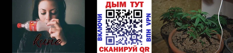 Конопля семена купить наркотик omg сайт Ахтырский